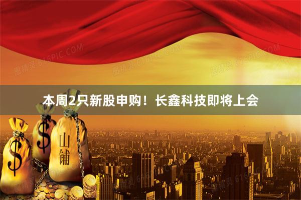 本周2只新股申购！长鑫科技即将上会